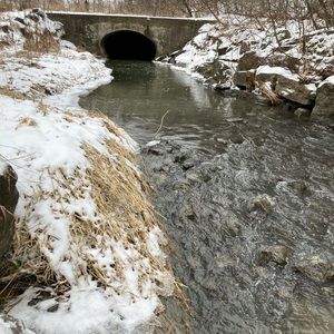 Meet your Posher, Ingrid